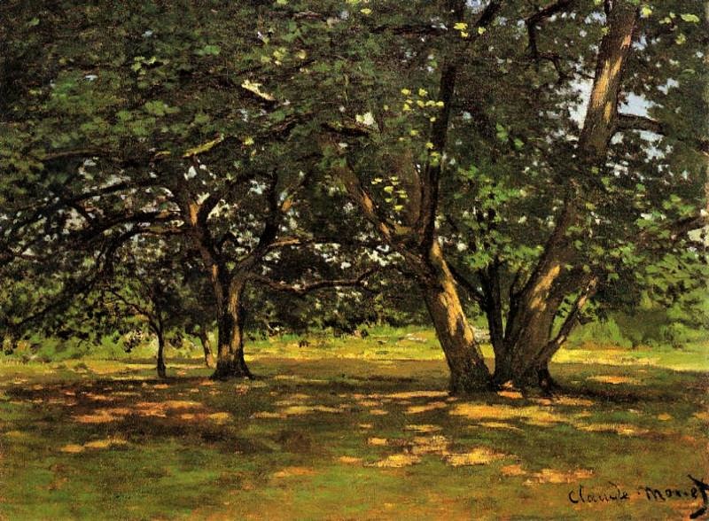 Claude Monet: 1865, Sbr, CR59, Forest of Fontainebleau, 50x65cm, Km Winterthur (iR2;R22,no59;M87)