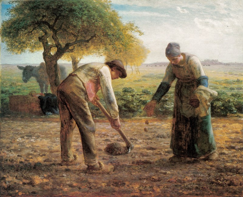 Jean-François Millet (1814-75): 1861ca, Potato Planters, 83x101, MFA Boston (iRx;M22;R231) =EU1867-479, Planteurs de pommes de terre.