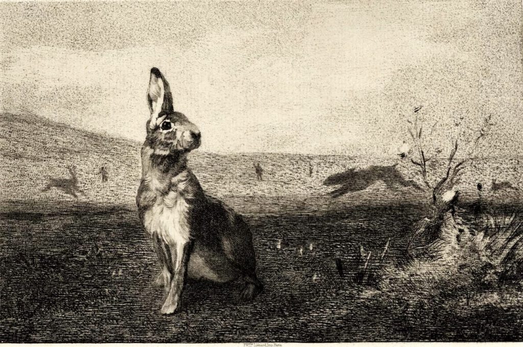 Félix Bracquemond, 1IE-1874-25-2, Le Lièvre, Now: 1872, B277, The Hare a Misty Morning (after A. de Balleroy), etch, 16x25, BNF Paris (iR10;R73,p39;R2,p119;R90II,p17)