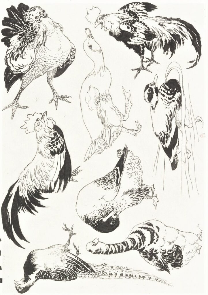 Félix Bracquemond, 5IE-1880-5, Eaux-fortes pour décoration... Probably: 1866, B549, Rousseau no.20, Roosters, ducks, goose, pheasant, etch, 25x35, BNF Paris (iR40)