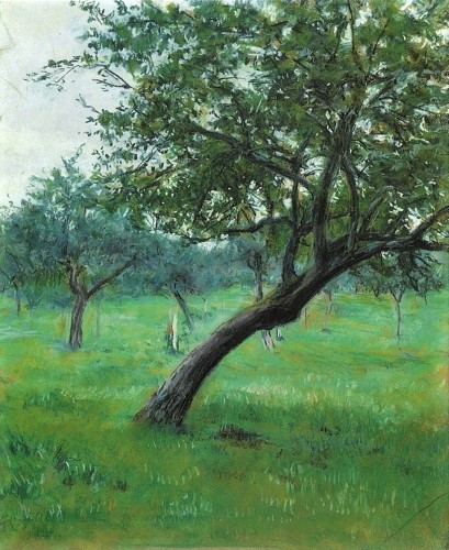 Gustave Caillebotte, 7IE-1882-15, Pommiers. Maybe: 1880, CR157+171, Orchard in Normandie, pastel, 54x44, private (aR8;iR10;iR128;aR3;R102,no171;R101,no157) =DR1894/06/04-71