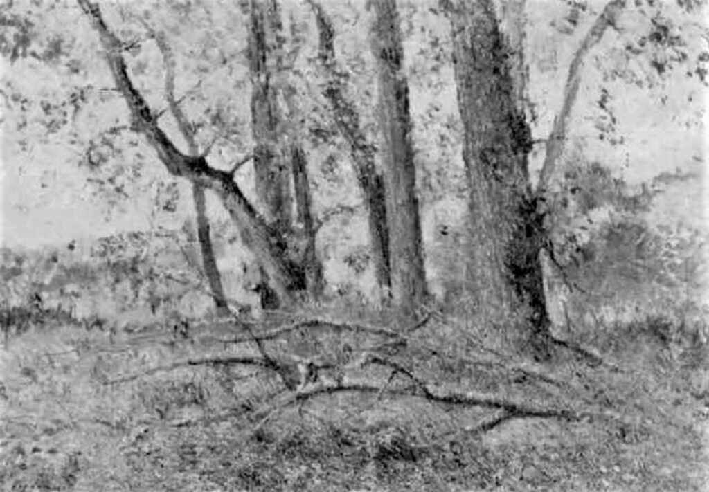 Victor Vignon, 7IE-1882-201, étude d'arbres (Île de Croissy). Maybe?: 18xx, L'isle de Croissy, peupliers, 44x33, A1999/06/28 (iR13;R2,p394;iR1;R90I,p377)