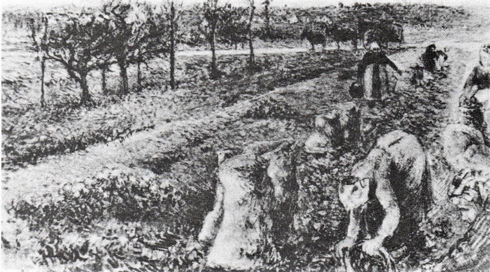 Camille Pissarro, 6IE-1881-77, La Récolte des pommes de terre, gouache; appartient à Mlle Cassatt =1880, CR1338, The Potato Harvest, gouache, 27x49, xx (R90II,p193+183+287;R126,CR1338)