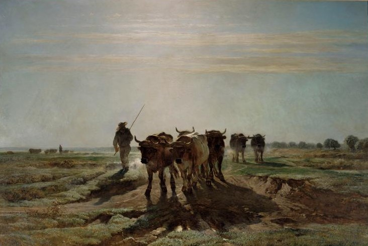 Constant Troyon (1810-65): 1855, Cattle Ploughing in the Early Morning, 260x400, Orsay (iR2;M1;R231;iR1) =EU=S1855-4094, Les boeufs allant au labour; effet du matin