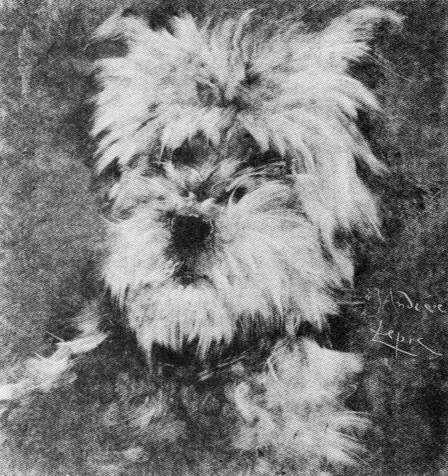 Ludovic Lepic: 2IE-1876-137, Tête de chien, épreuve tirée sur plaque sans gravure = 18xx, Head of a dog (for J. Andrée), monotype, 30x28, Baltimore MA (R90II,p56+40;R2,p162;R85IX,p143,no1;M24)