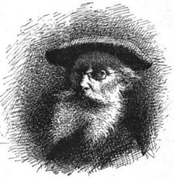 Portrait de Louis Debras tiré du Dictionnaire de Henry Carnoy en 1894 (iR6;iR10)