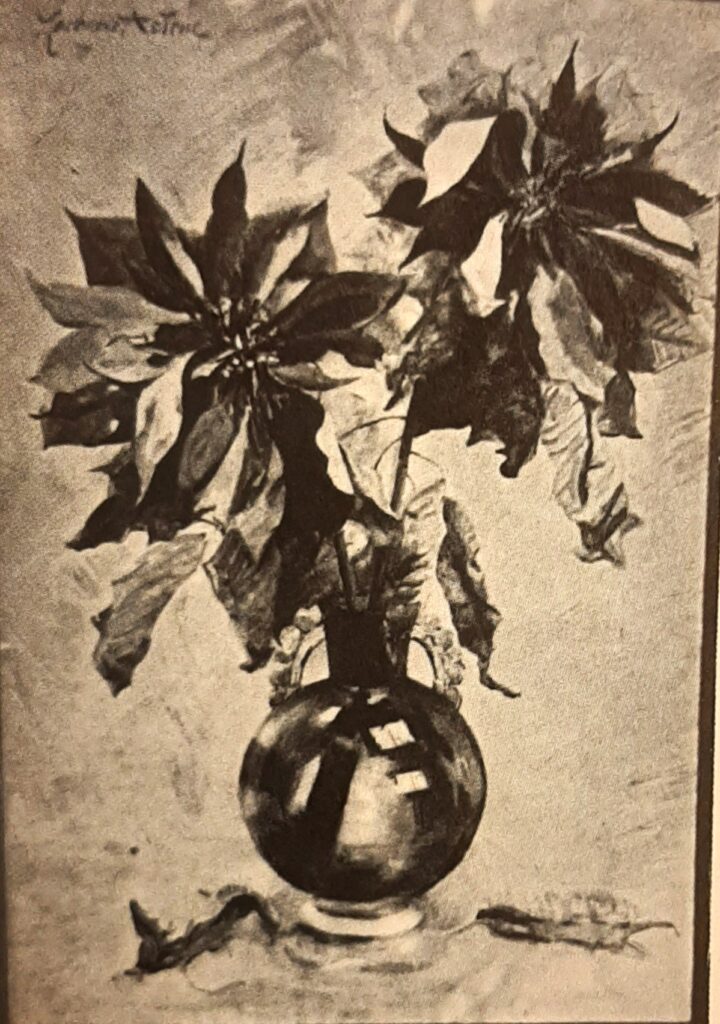 Zacharie Astruc: 1904, Stl, Poinsettias dans un vase bleu, wc (R420,fig.77;iR1) =!? SdAF-1904-1882, Rameaux de poinsettias, dans un vase bleu.
