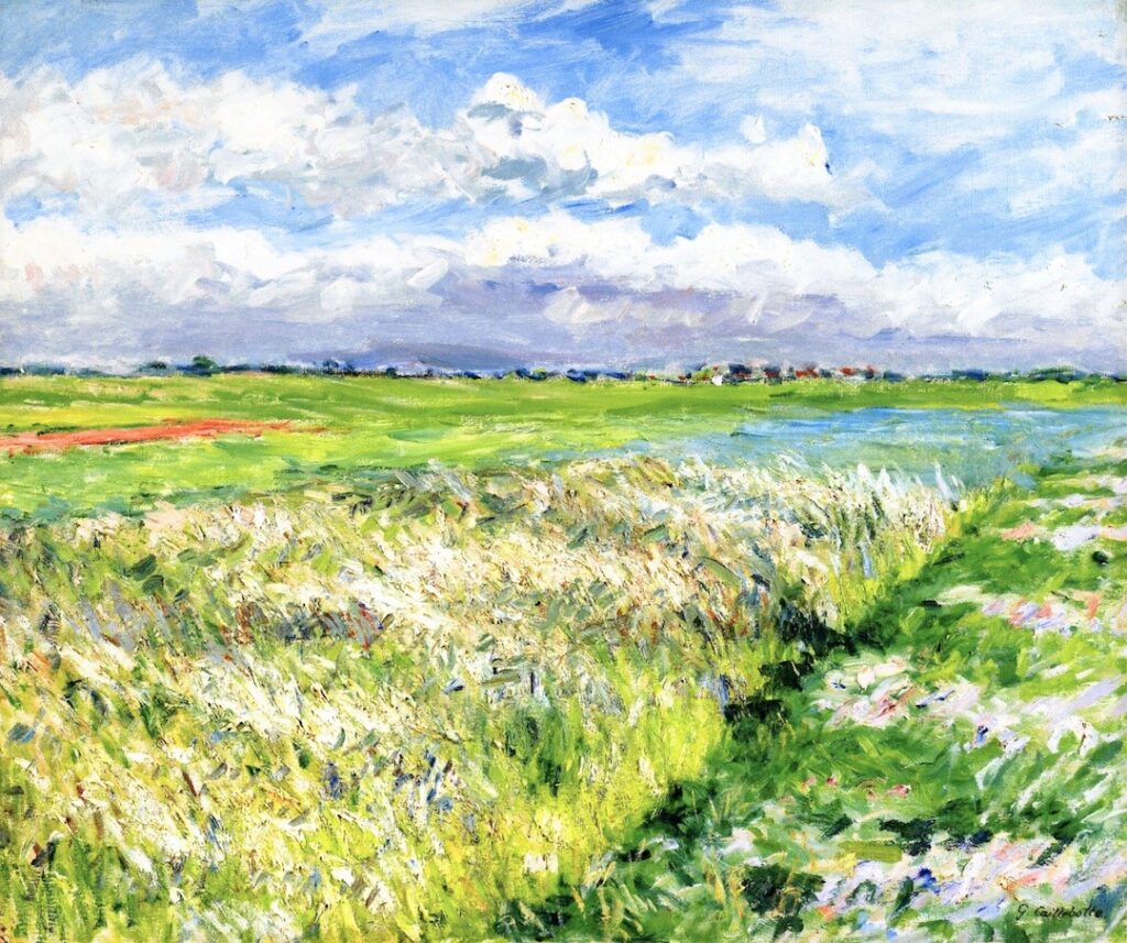 Gustave Caillebotte: 1883, Sbr, 2CR268, Fields, Plain of Gennevilliers (Study in Yellow and Green), 54x65, A2009/11/05 (iR2;iR11;R102,no268;R101,no278) Expo: =New York-AAG+NAD-1886-136.