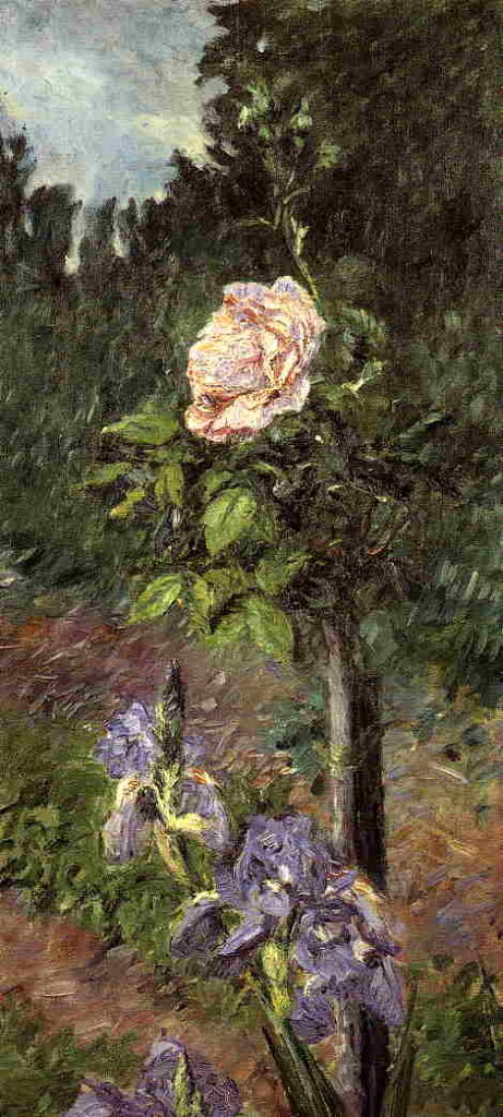 Gustave Caillebotte: 1892ca, Sbr, 1CR423=2CR448, Rose with purple Iris, Garden at Petit Gennevilliers, 79x36, private (iR2;R102,no448;R101,no423) Expo: DR1894-49.