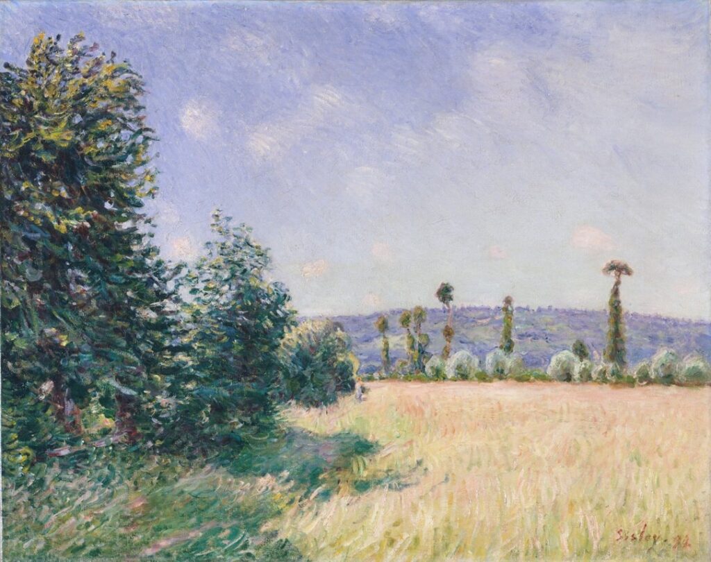 Alfred Sisley: 1894, SDbr, CR825=CCPP950, A corner of the meadows at Sahurs in the morning sun (Normandy), 73x92, Metropolitan (iR2;iR40;R38;R129,no825;R396,no950;M23) Expo: =? SNBA-1895-1148, Les foins à Sahurs; Appartient à M. Depeaux; =? GP1897-82, Les foins à Sahurs, 1895; appartient à M. Depeaux; Manchester-1907-179; DR1914-33. Provenance: Depeaux; sale HD1901/04/25-59 + GP1906/05/31-50; Durand-Ruel.