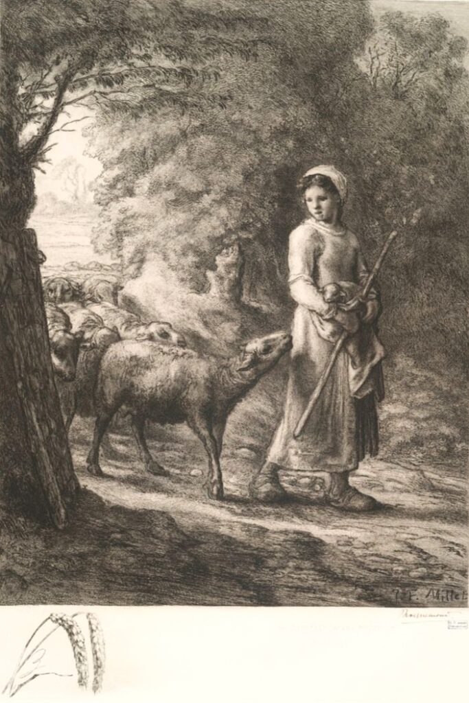 Félix Bracquemond: 1885-87ca, B786, The newborn (after Millet), etch, 38x32, NYPL (iR61;iR10;iR42;iR1;iR284;R85XIII,no786) =? SdAF-1887-4900, Deux gravures: D'après les dessins de F. Millet; =!? SNBA-1907-171-104, Le Nouveau-né, d'après Millet; appartient à M. Alexis Rouart.