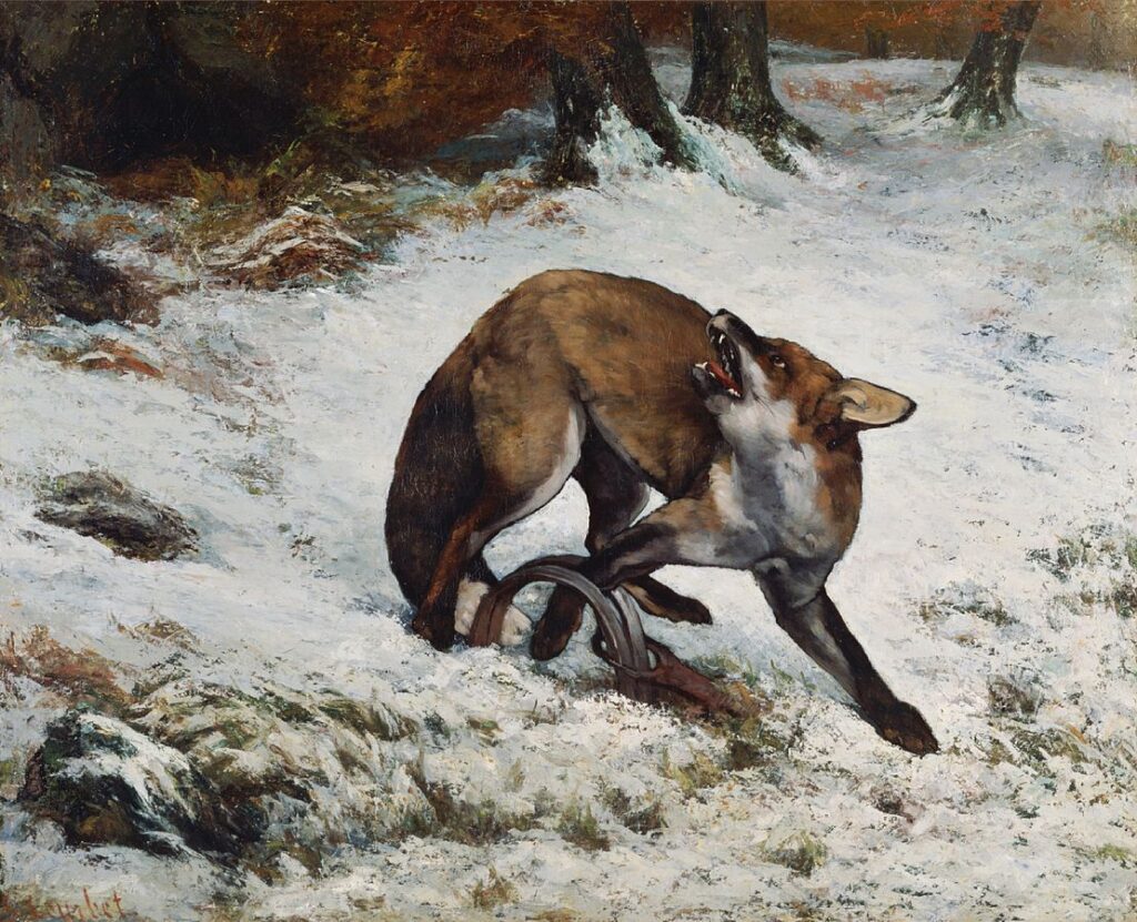 Gustave Courbet (1819-77): 1860, CR264, Fox caught in a trap, 82x101, NMWA Tokyo (iR6;iR1;R231-1;R110,no264;M127) Expos: =?? S1861-720, Le renard dans la neige; =EU-1900-C-146, Le Renard pris au piège (à M. Klotz).