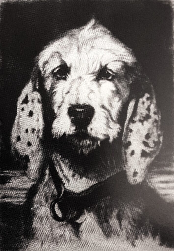 Ludovic Lepic (1839-89): 1861, Sbr, Tête de chien courant de Vendée, etch (after Jadin S1850, Barbaro), 51x38, MF Aix-les-Bains (R276;iR1;M201;R85IX,p143,no1-4) =!? S1863-2689, Tête de chien courant de Vendée, d’après M. Jadin; eau forte