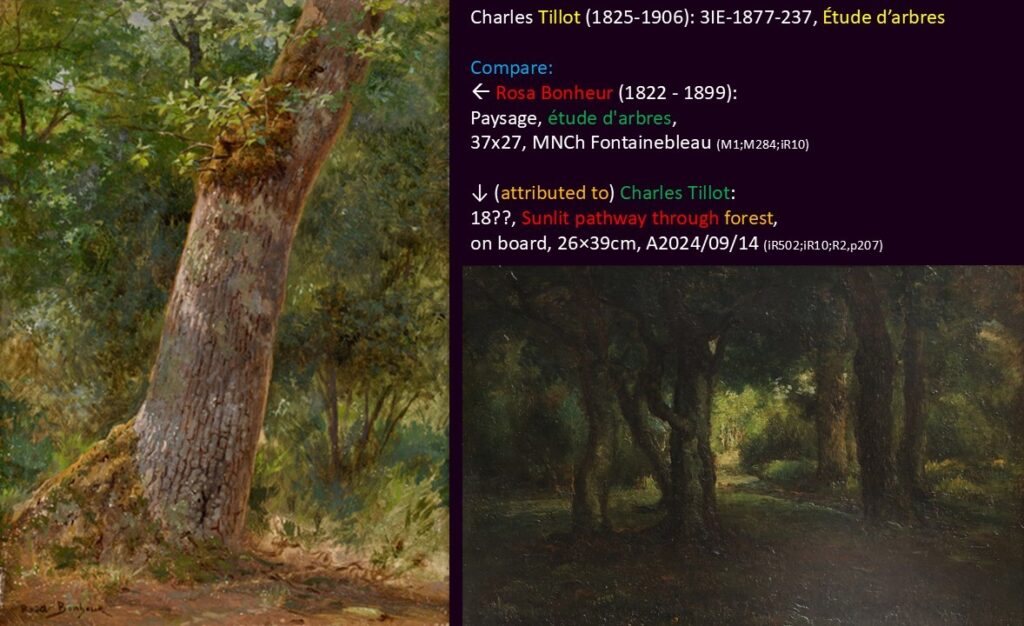 Charles Tillot (1825-1906): 3IE-1877-237, Étude d’arbres. Compare a painting of Rosa Bonheur and of Tillot.