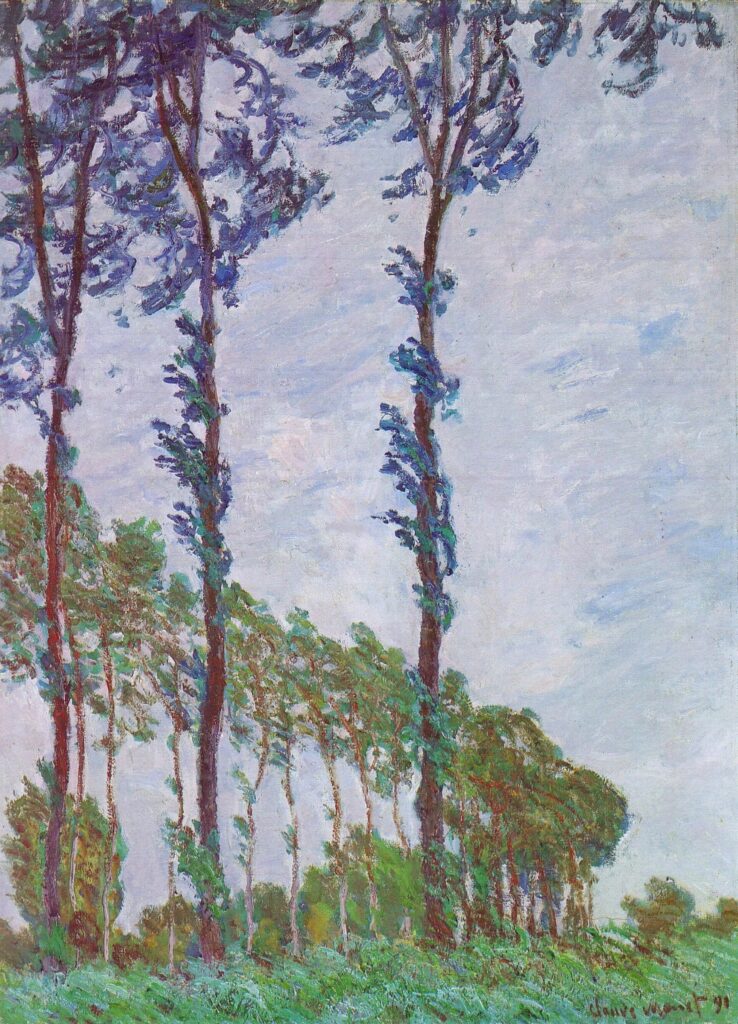 Claude Monet: CR1302, 1891, SDbr, Wind effect, row of Poplars, 100x73, Orsay (iR3;R22,no1302;M1) Provenance: Hamman; Knoedler (1892) sale 1893/04/11-188; Durand-Ruel. Expo: =? DR1892-6; DRNY-1895-27; Boston-1895-SBC-24; DRNY-1907-3; Boston-SBC-1913-IP-2; DRNY-1923-11. Info: view from close to the riverbank.