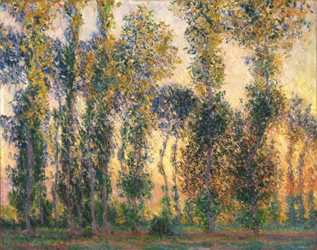 Claude Monet: 1887ca, CR1156, Sbl, Poplars at Giverny, 73x92, MoMA New York (iR3;R22,no1156;M41) Provenance: BVc (1892); Cochin (1892); Durand-Ruel (1897). Expos: Berlin-1905-PC-VIII-44; Weimar-GM-1905-20; Manchester-AG-1907/08-79; DR1908-M+R-2; Munich-MG-1909-Impr-24; DR1910-MPRS-15; Saint-Petersbourg-1912-C-437; =? DR1914-36; Boston/Saint-Louis/Chicago-1915; DRNY1915-9. Location: plain of Les Ajoux.